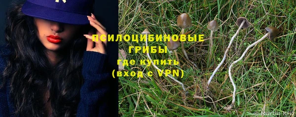 крисы Армянск