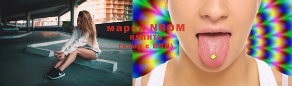 мдпв Арсеньев